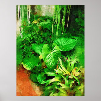 Pôster coleção de folhagens tropicais , tropicais justchi