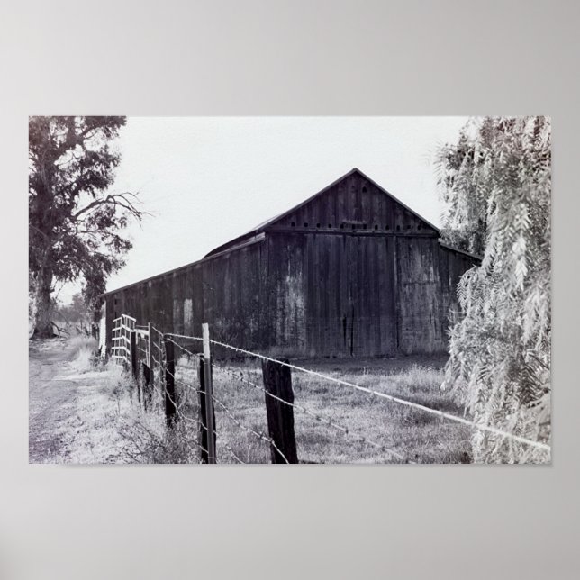 Poster Coleção de Países - Somente em Pé (Frente)