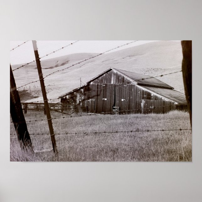 Poster Coleção de Países - Uma nova Exibição (Frente)