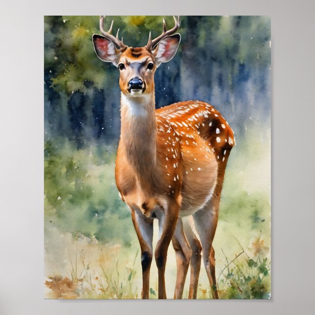 Poster Coleção de veados: Sika Deer Japonês (Frente)