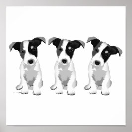 Poster Coleção Design Roseplatina®