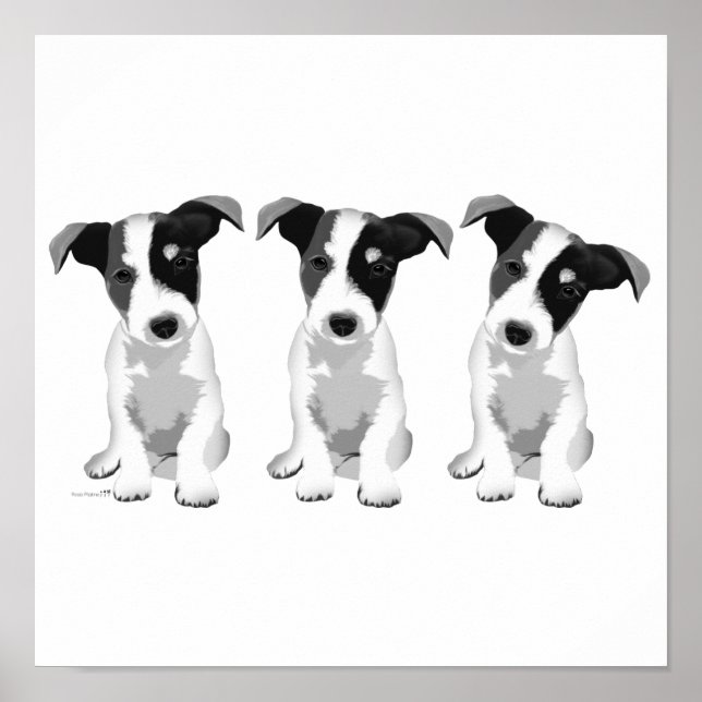 Poster Coleção Design Roseplatina® (Frente)