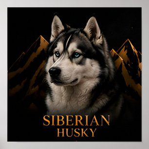 Poster Coleção Espírito do Norte do Husky Siberiano