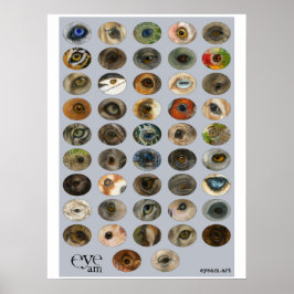 Poster Coleção EyeAmArt de Olhos Animais Ameaçados