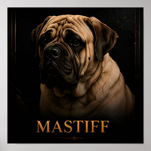 Poster Coleção Real Guardiã Mastiff Inglês