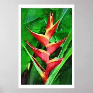 Pôster Coleção tropical da pintura a óleo do heliconia