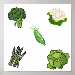 Poster Coleção vegetal