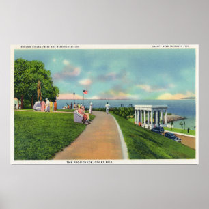 Poster Coles Hill View of the Promenade