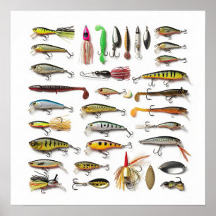 Poster Coleta de Estirpes de Pesca