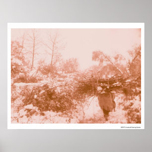 Pôster Coletor de Madeira