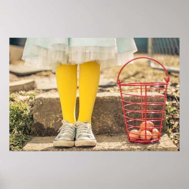 Poster Coletor de Ovos (Frente)