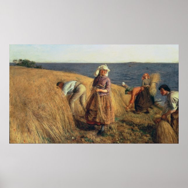 Pôster Colheita (Frente)