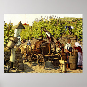 Pôster Colheita 1890 da uva