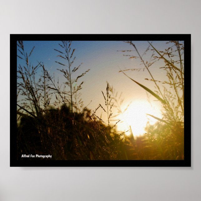 Poster Colheita ao Nascer do Sol (Frente)
