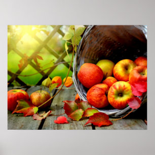 Poster Colheita de Apple