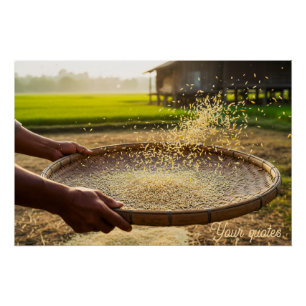 Pôster Colheita de Grãos, Campo de Arroz