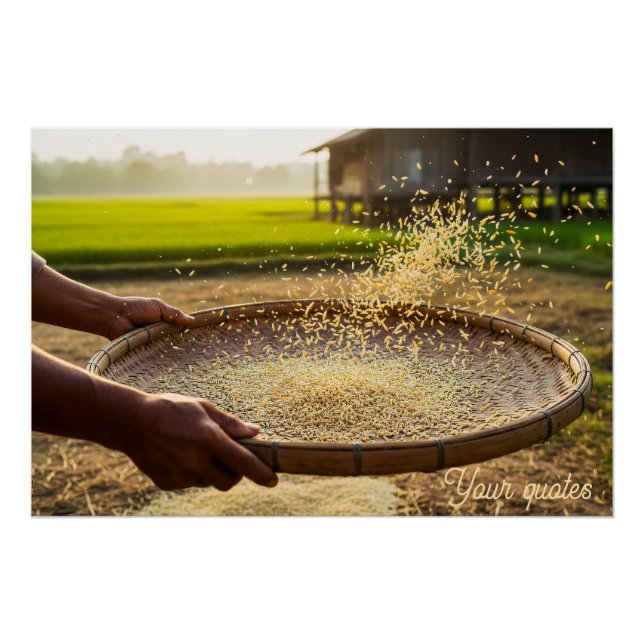 Pôster Colheita de Grãos, Campo de Arroz (Frente)