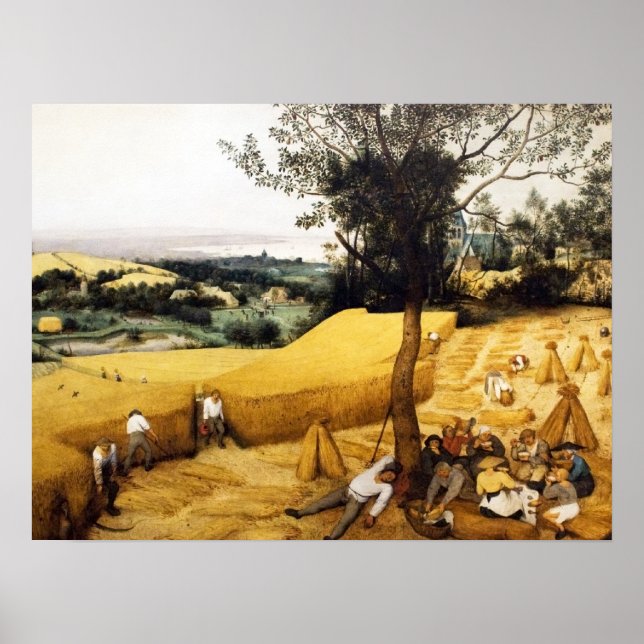 Pôster Colheita de Milho - 1565 (Frente)