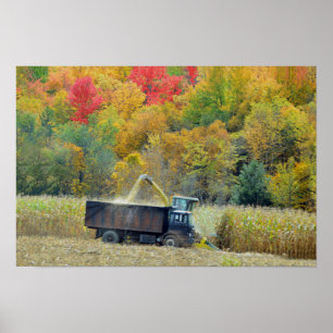 Poster Colheita de Milho em Vermont