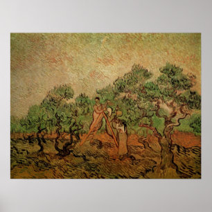 Poster Colheita de Oliveiras por Vincent van Gogh