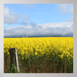 Poster Colheita de ouros