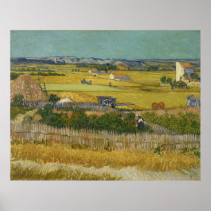Pôster Colheita de Vincent Van Gogh