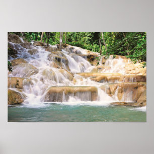 Poster Colheita do Rio Jamaica Dunn