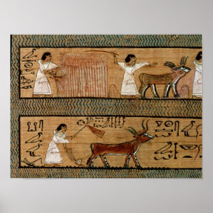 Pôster Colher e ploughing, detalham uma descrição