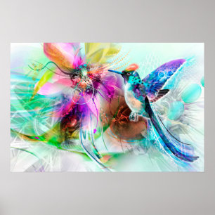 Pôster Colibri