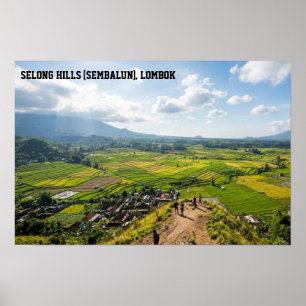 Poster Colina Selong Sembalun Lombok Campo de Arroz Arte