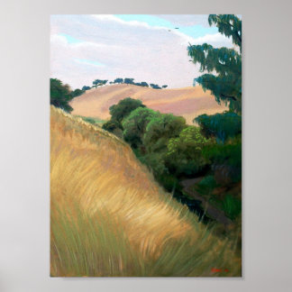 Pôster Colinas da Califórnia