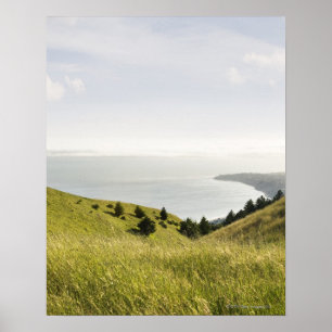Poster Colinas litorais, Bolinas Ridge, Califórnia
