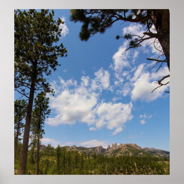 Poster Colinas Negras Enquadradas por Árvores, Dakota do  (Frente)