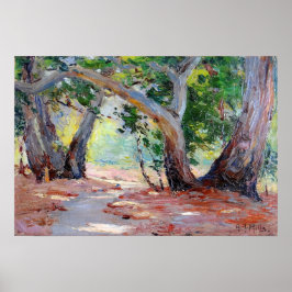 Poster Colinas - Sunshine Shadow Orange County Park