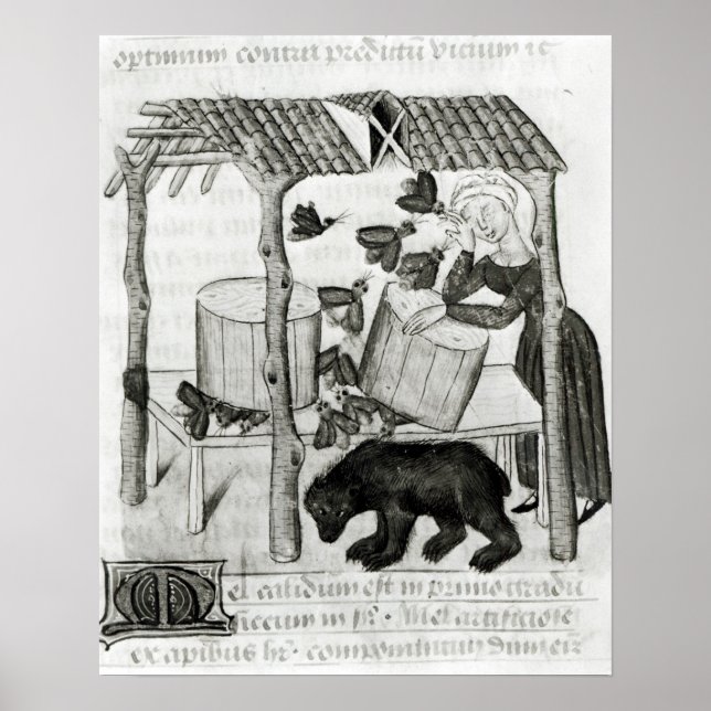 Poster Collecting Honey (Frente)