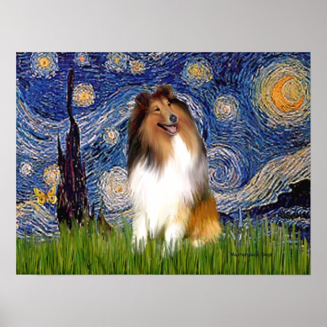 Poster Collie 1 - Noite Estrelada (Frente)