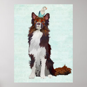 POSTER COLLIE COLORIDO & PÁSSARO AZUL