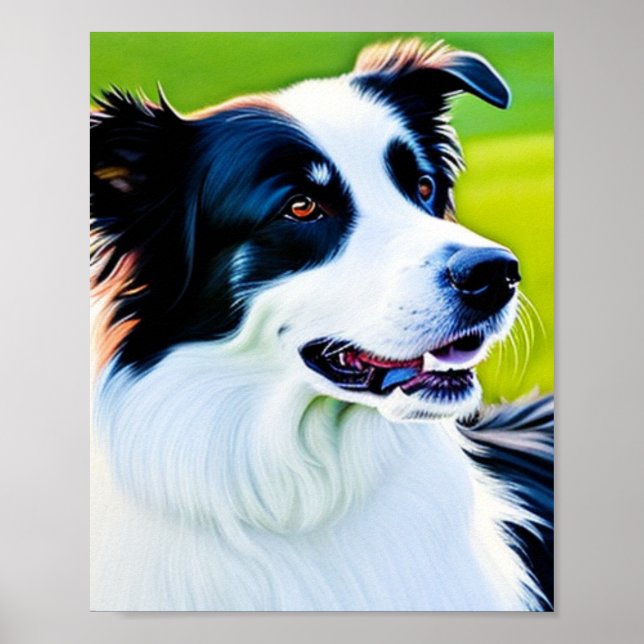 Poster Collie de Borda Corta (Frente)