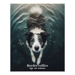 Pôster Collie de borda - poster