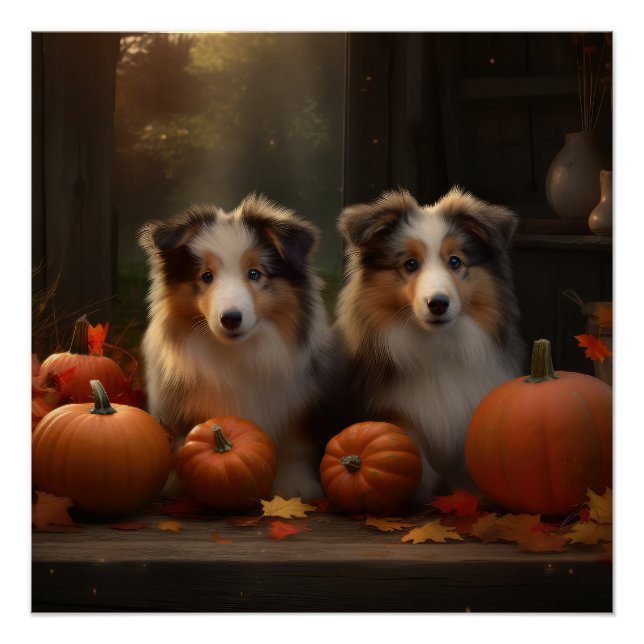 Pôster Collie Puppy Autumn Delight Pumpkin (Frente)
