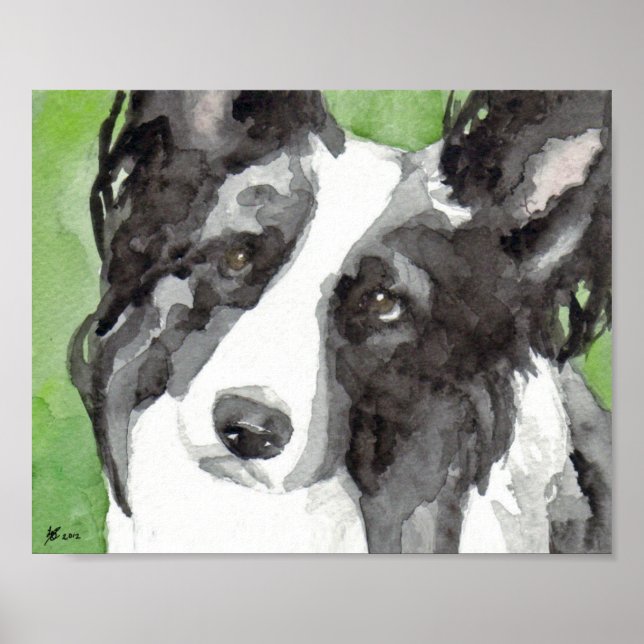 Poster Collie Watercolor de Borda (Frente)