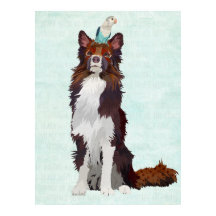 COLLIO COLORIDO E PÁSSARO AZUL