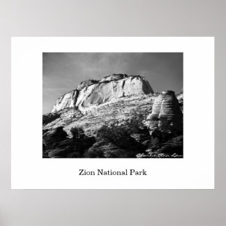 Poster Colmeia e Monólito