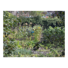 Pôster Colocações na ponte Hebden