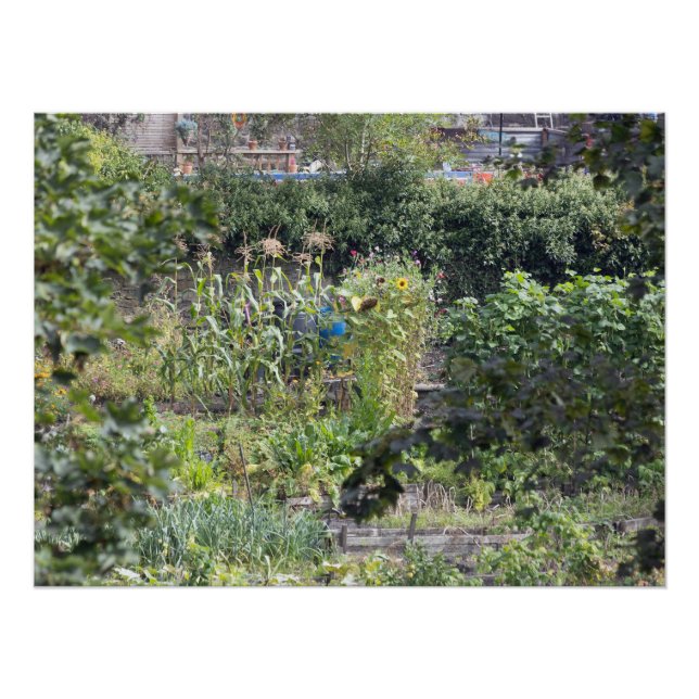 Pôster Colocações na ponte Hebden (Frente)