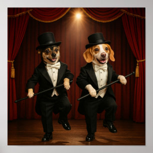 Poster "Colocando no Ritz"