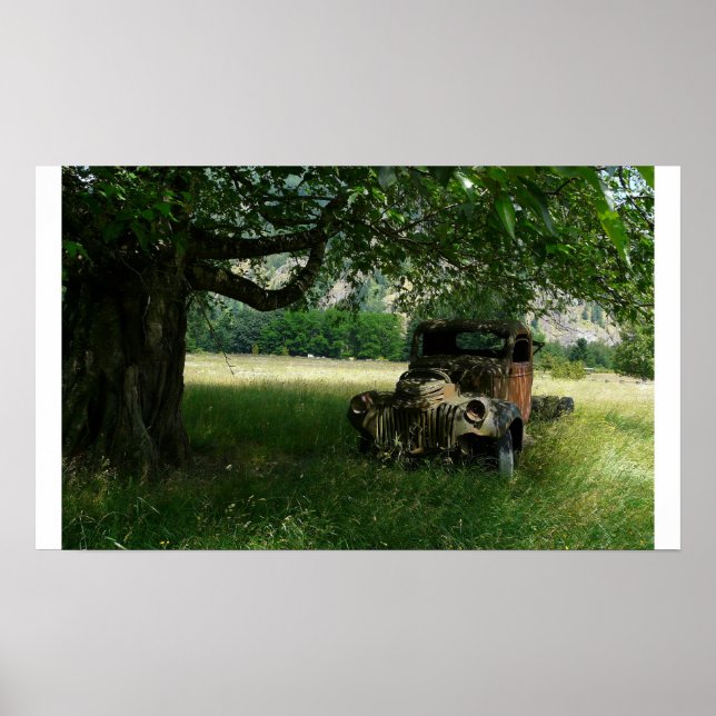 Poster Colocar na Pastura (Frente)