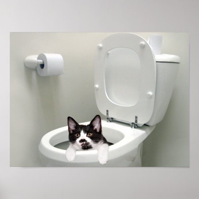 Pôster Coloque a tampa para baixo (Frente)