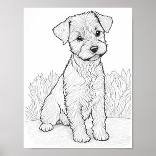 Poster Coloração de Adultos de Cães Lakeland Terrier
