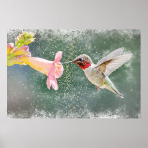 Poster Coloração do néctar do beija-flor